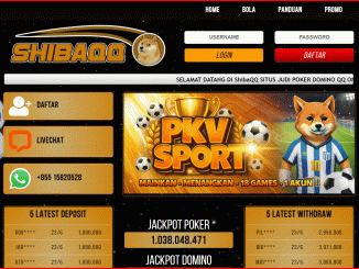 shibaqq